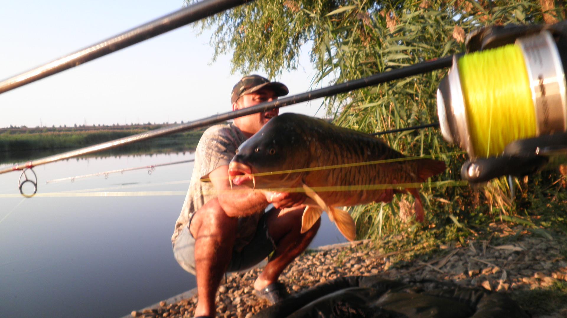 Tancabesti - p9140128.JPG